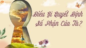 Số phận là gì