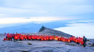suc-manh-noi-tai-1