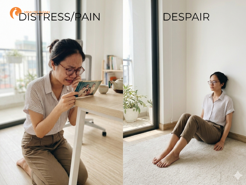 phân loại các cảm xúc đau khổ và tuyệt vọng